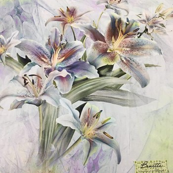 چادر-رنگی-سه-بعدی-ساتن-ابریشم