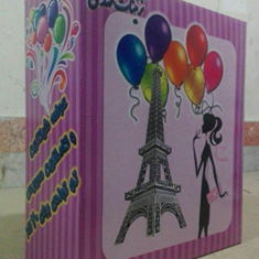 خرس-تدی-پسرانه