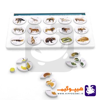 هوش-چین-مجموعه-ای-چهار-تکه