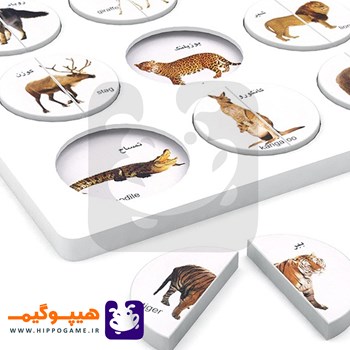 هوش-چین-مجموعه-ای-دو-تکه