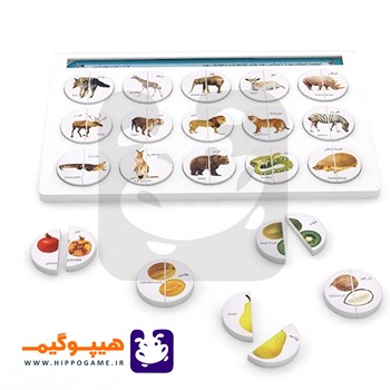 هوش-چین-مجموعه-ای-دو-تکه