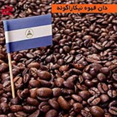 دان-قهوه-نیکاراگوئه
