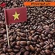 دان-قهوه-ویتنام