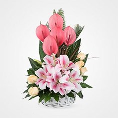 سبد-گل-پلاتینوم