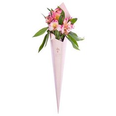 شاخه-گل-آلسترومریا