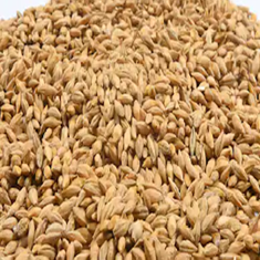 جو-نوشهر-وزن-پول