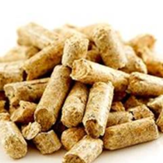 کنجاله-کلزا-خاوردشت