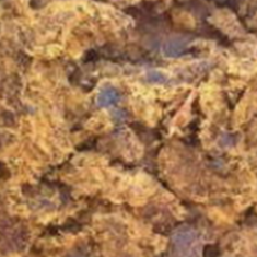 کنجاله-تخت-آذربایجان