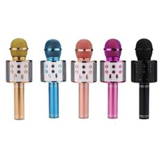 میکروفون-اسپیکر-دار