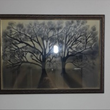 قاب-نقاشی-درخت-سیاه-قلم-سایز-100-70