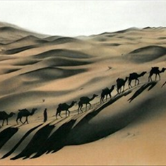 قاب-نقاشی-ساربان-سایز-100-70