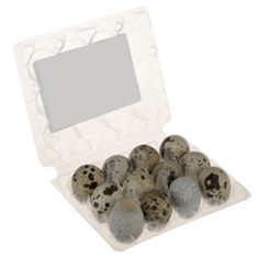 تخم-بلدرچین-توکاسان-خاور-بسته-12-عددی