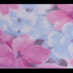 کاغذ-دیواری-فلامینگو