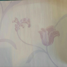 کاغذ-دیواری-پرادا