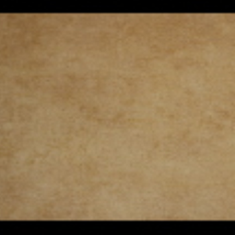 کاغد-دیواری-اس-تیک-پی-پلی