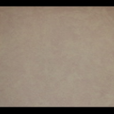 کاغد-دیواری-اس-تیک-پی-پلی