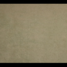 کاغد-دیواری-اس-تیک-پی-پلی