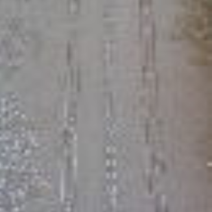 کاغذ-دیواری-رز-ماری