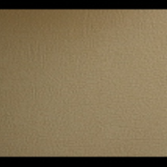 کاغد-دیواری-اس-تیک-پی-پلی