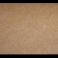 کاغد-دیواری-اس-تیک-پی-پلی