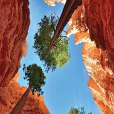 رادیاتور-شیشه-ای-کدa045