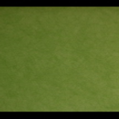 کاغد-دیواری-اس-تیک-پی-پلی