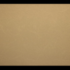 کاغد-دیواری-اس-تیک-پی-پلی