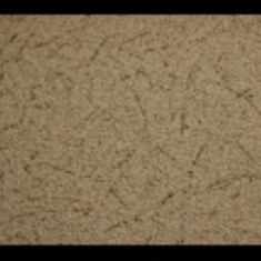 کاغد-دیواری-اس-تیک-پی-پلی