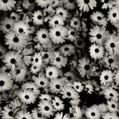 رادیاتور-شیشه-ای-کدa033