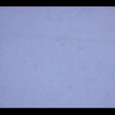 کاغذ-دیواری-فلامینگو