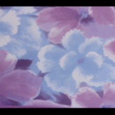 کاغذ-دیواری-فلامینگو