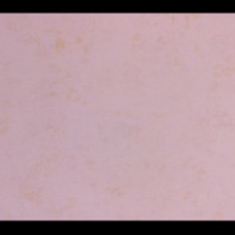 کاغذ-دیواری-فلامینگو