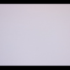 کاغذ-دیواری-فلامینگو