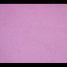 کاغذ-دیواری-فلامینگو