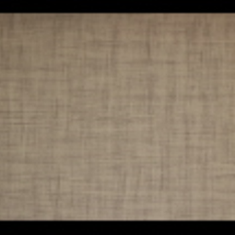 کاغد-دیواری-اس-تیک-پی-پلی