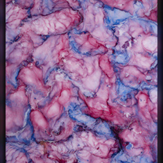 پتینه-رنگی-کد2005