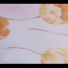 کاغذ-دیواری-فلامینگو