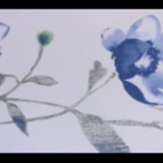 کاغذ-دیواری-فلامینگو