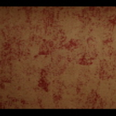 کاغد-دیواری-اس-تیک-پی-پلی