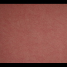 کاغد-دیواری-اس-تیک-پی-پلی