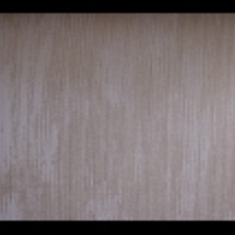 کاغد-دیواری-اس-تیک-پی-پلی