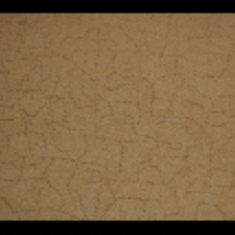 کاغد-دیواری-اس-تیک-پی-پلی