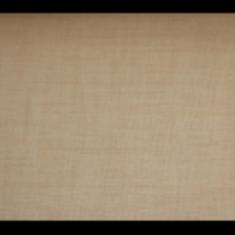 کاغد-دیواری-اس-تیک-پی-پلی