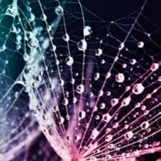 رادیاتور-شیشه-ای-کدa013