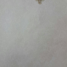 کاغذ-دیواری-امگا