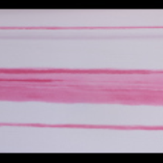 کاغذ-دیواری-فلامینگو