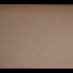 کاغد-دیواری-اس-تیک-پی-پلی