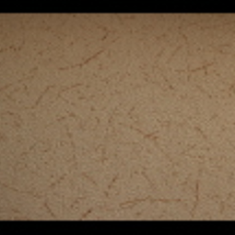 کاغد-دیواری-اس-تیک-پی-پلی