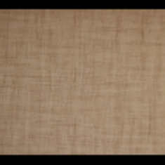 کاغد-دیواری-اس-تیک-پی-پلی