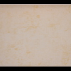 کاغذ-دیواری-فلامینگو